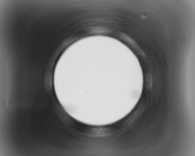 X0000087611322200705251934