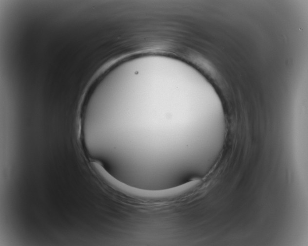 X0000087611324200705251934