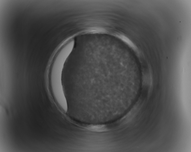 X0000087611325200705251934