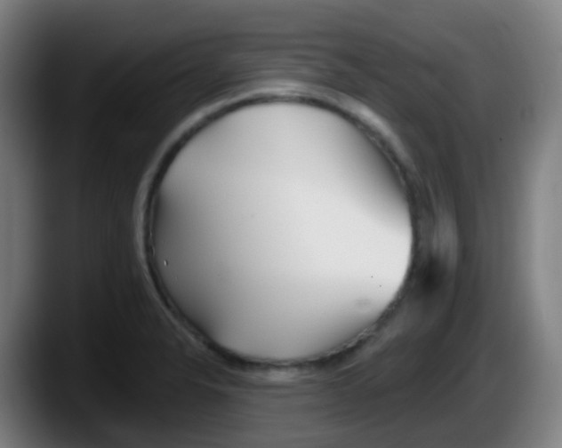 X0000087611326200705251934