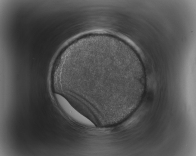 X0000087611327200705251934