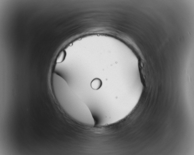 X0000087611328200705251934