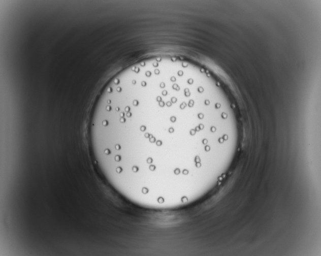 X0000087611329200705251934