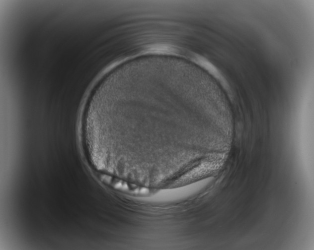 X0000087611331200705251934