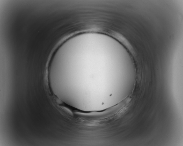 X0000087611332200705251934