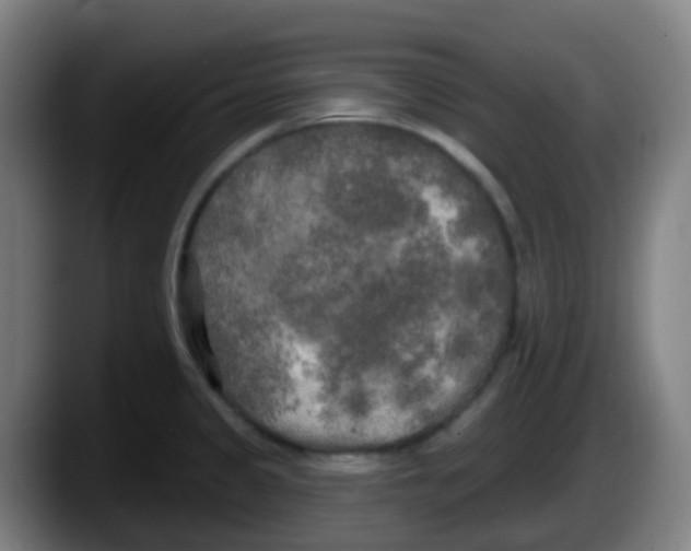 X0000087611333200705251934