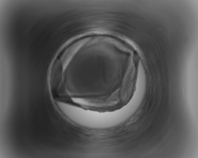 X0000087611334200705251934