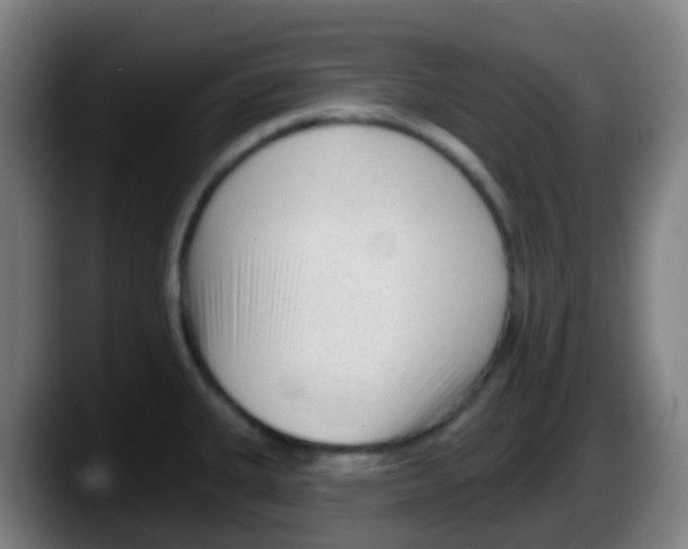 X0000087611335200705251934