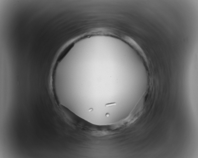 X0000087611336200705251934