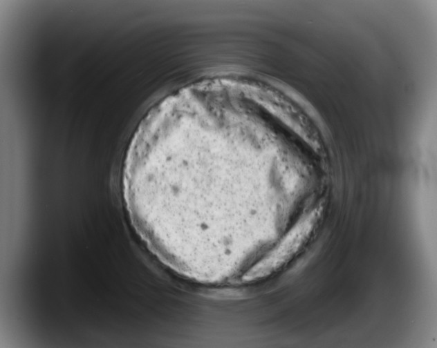 X0000087611337200705251934