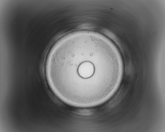 X0000087611338200705251934