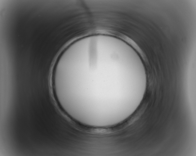 X0000087611339200705251934