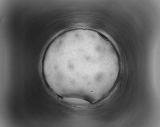 X0000087611341200705251934