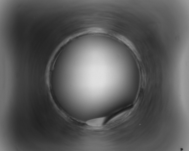 X0000087611342200705251934