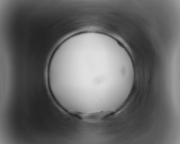 X0000087611343200705251934