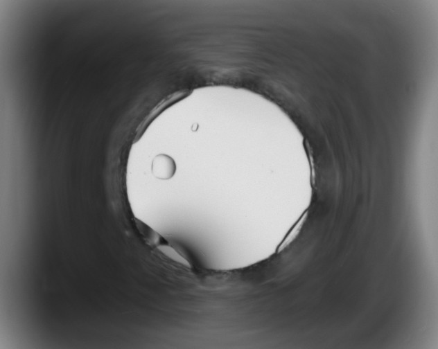 X0000087611345200705251934