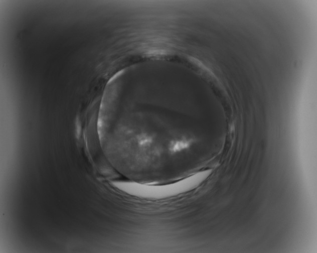 X0000087611348200705251934