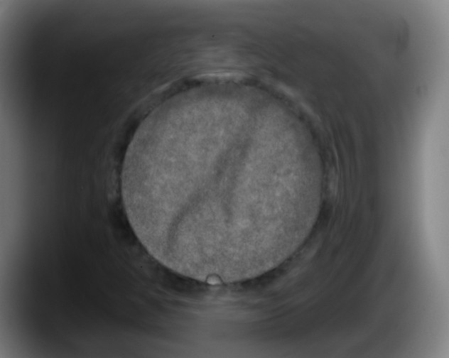 X0000087611350200705251934