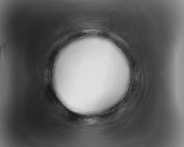 X0000087611351200705251934