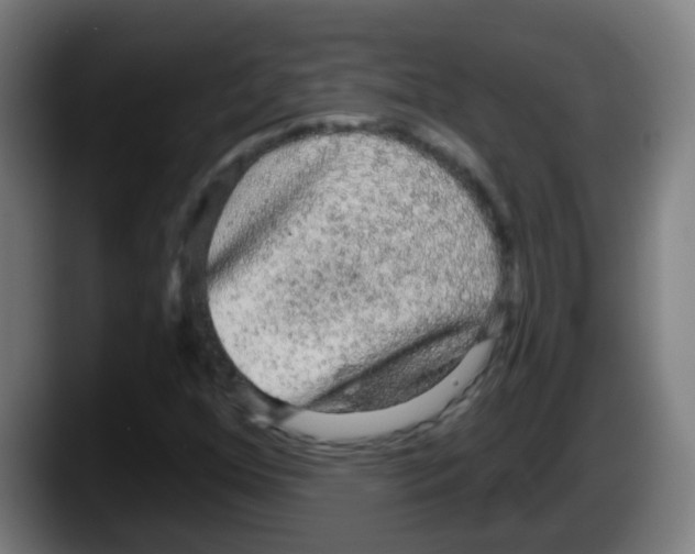 X0000087611352200705251934