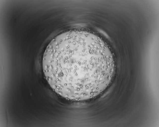X0000087611354200705251934