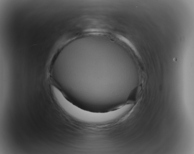 X0000087611357200705251934