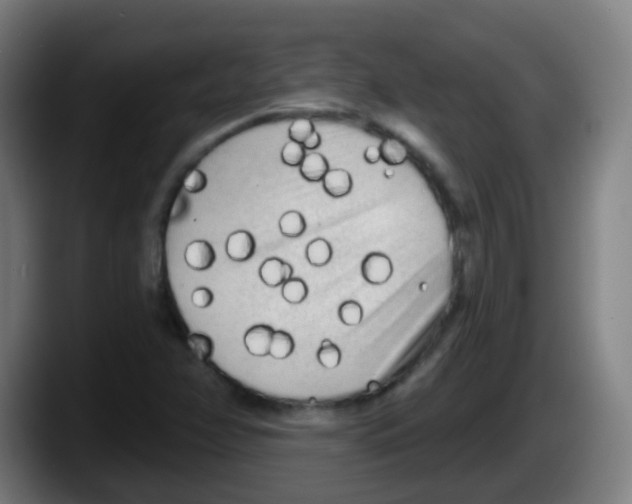 X0000087611358200705251934