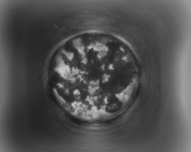 X0000087611359200705251934