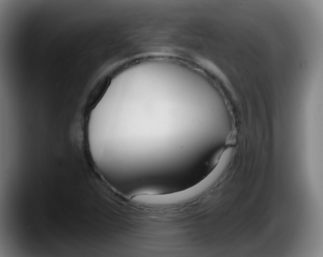 X0000087611360200705251934