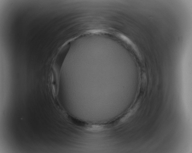 X0000087611361200705251934