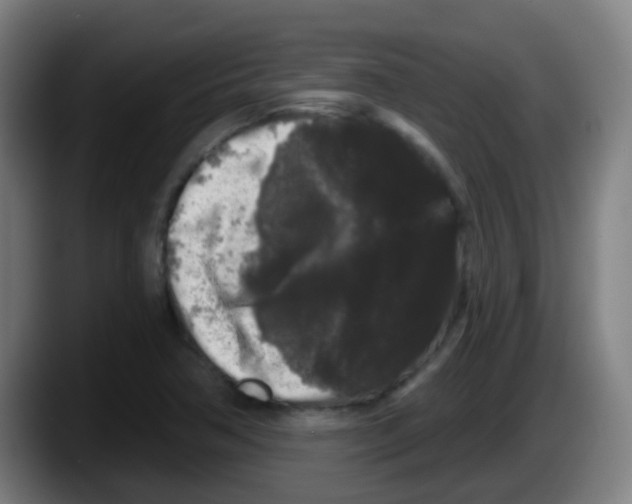 X0000087611362200705251934