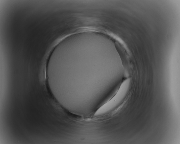 X0000087611365200705251934