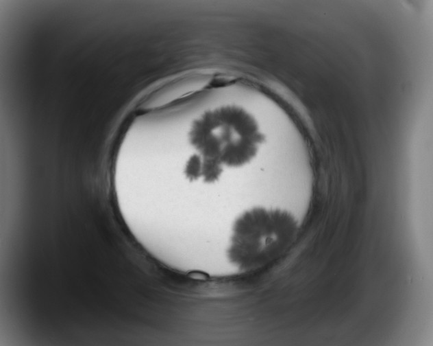 X0000087611368200705251934