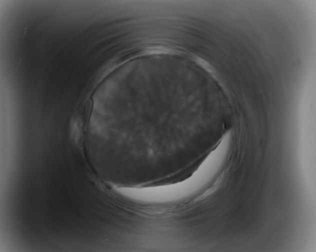 X0000087611369200705251934