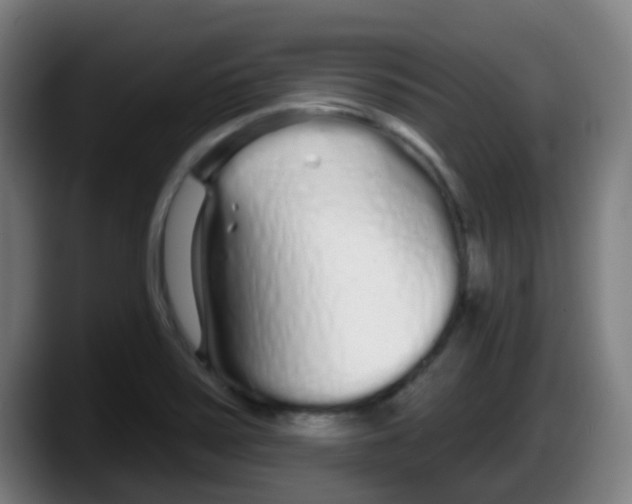 X0000087611371200705251934