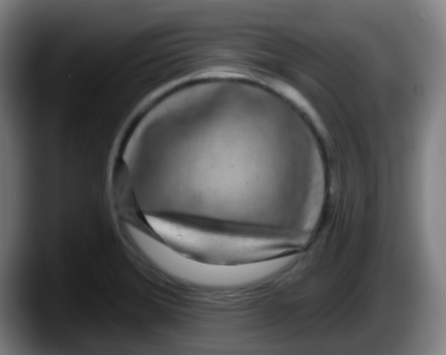 X0000087611372200705251934