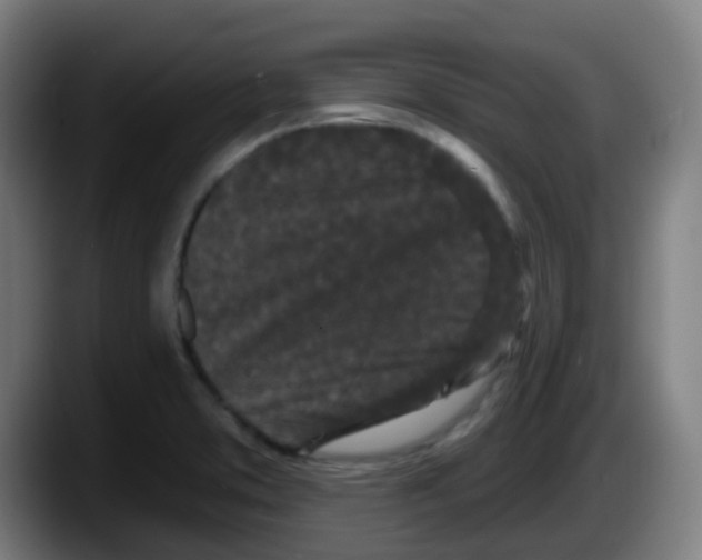 X0000087611373200705251934