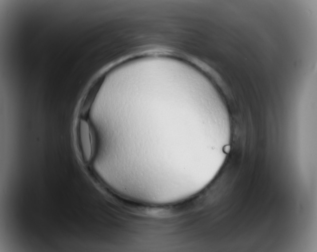 X0000087611375200705251933