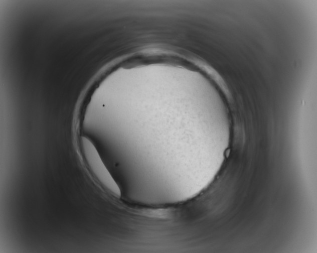 X0000087611376200705251933