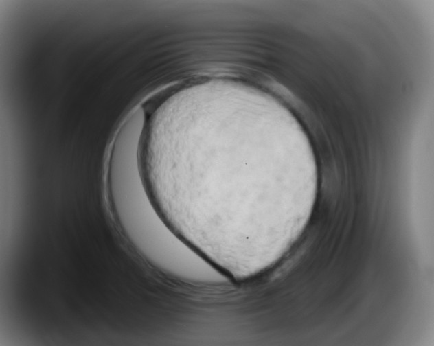 X0000087611378200705251933