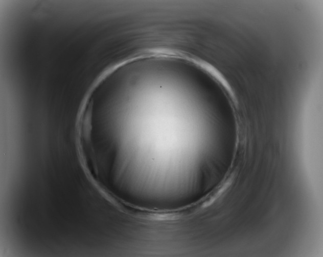 X0000087611381200705251933