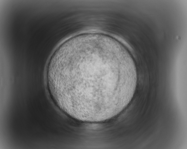 X0000087611382200705251933