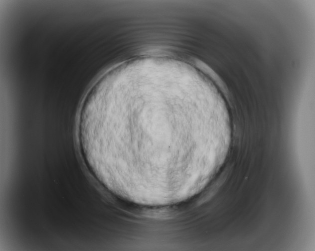 X0000087611386200705251933