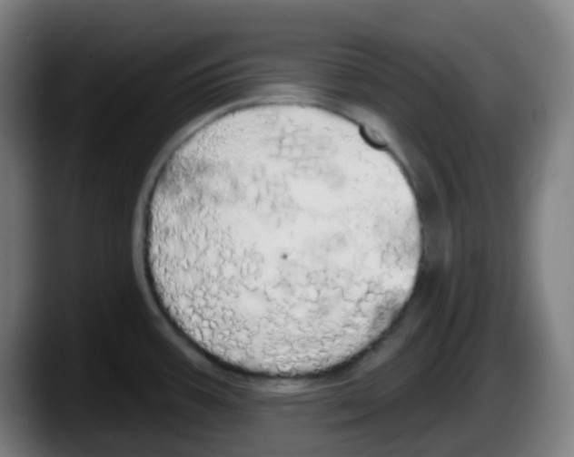 X0000087611387200705251933