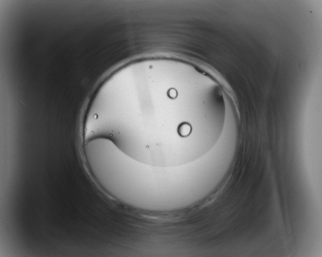 X0000087611388200705251933