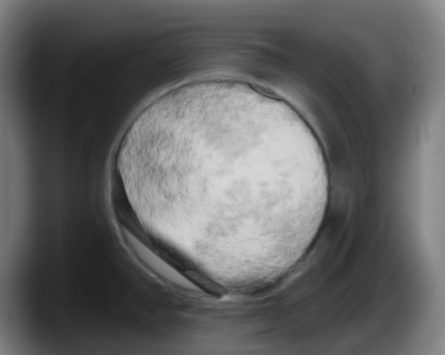 X0000087611390200705251933