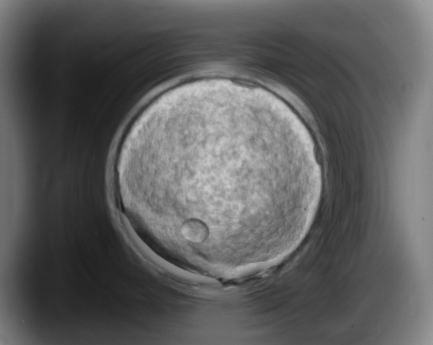 X0000087611392200705251933