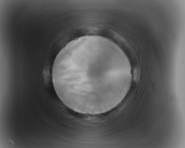 X0000087611395200705251933