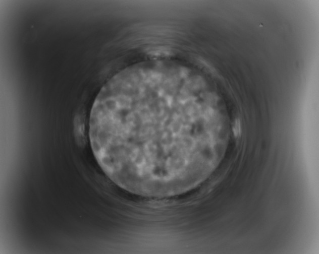 X0000087611396200705251933