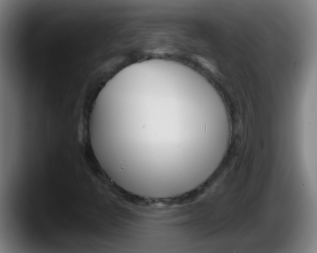 X0000087611398200705251933